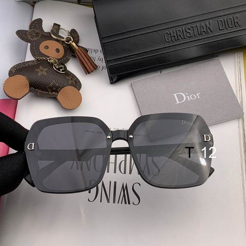 DIOR Sunglasses 411